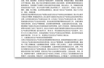 安全生產(chǎn)標(biāo)準(zhǔn)化總結(jié).doc