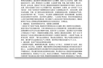 領(lǐng)導(dǎo)干部政治建設(shè)自我檢查剖析報告