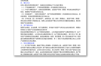 市級行政事業(yè)單位經(jīng)營性資產(chǎn)整合利用實施方案