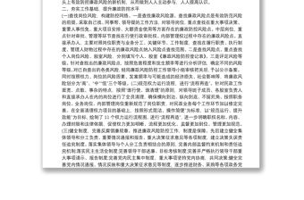 民政局廉政風險防控工作報告