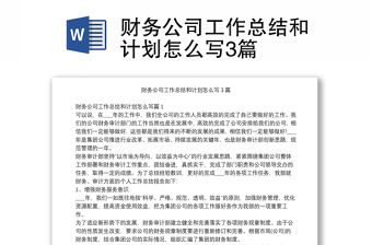 財務公司工作總結和計劃怎么寫3篇