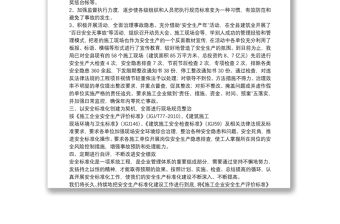 企業安全生產標準化工作總結