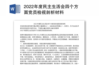 2022国家电网党支部委员检视剖析材料