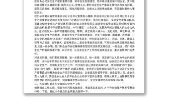 縣長在全縣安全生產專項整治三年行動專題推進會議上的講話精編