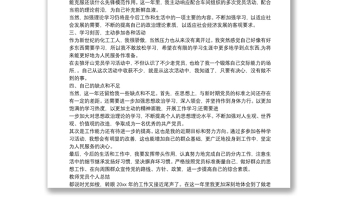 黨員年度個(gè)人總結(jié)2020_工作總結(jié)