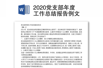 2020黨支部年度工作總結(jié)報(bào)告例文