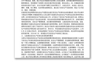 安全生產標準化總結