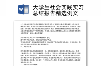 大學(xué)生社會(huì)實(shí)踐實(shí)習(xí)總結(jié)報(bào)告精選例文