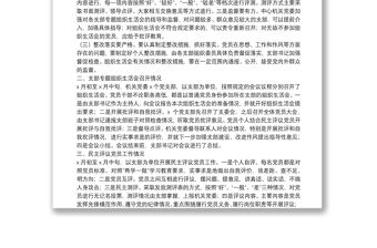 關(guān)于各支部專題組織生活會(huì)和民主評(píng)議黨員工作情況專題報(bào)告