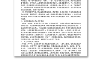 關(guān)于各支部專題組織生活會(huì)和民主評(píng)議黨員工作情況專題報(bào)告