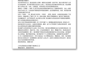 小學生國家憲法日國旗下演講稿