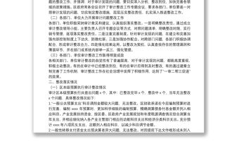 關于2021年度審計整改工作情況的報告