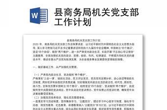 縣商務局機關(guān)黨支部工作計劃