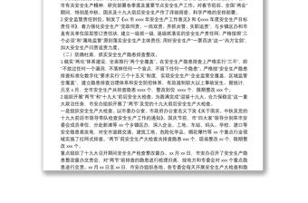 市安全生產(chǎn)監(jiān)督管理局2021年度工作總結(jié)報告