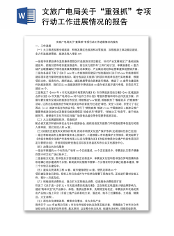 文旅广电局关于“重强抓”专项行动工作进展情况的报告