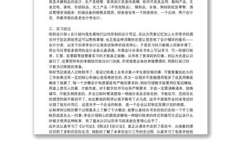 公司財務會計個人實習工作總結范文八篇