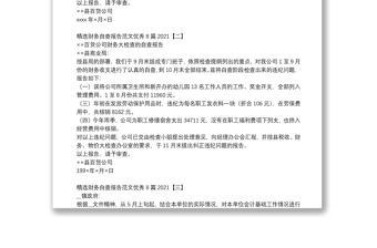 精選財(cái)務(wù)自查報(bào)告范文優(yōu)秀8篇2021
