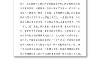 巡察巡視工作經驗總結發言