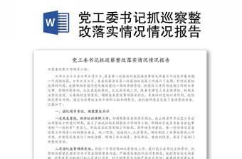 黨工委書記抓巡察整改落實情況情況報告