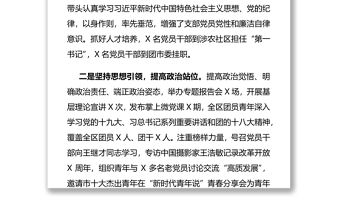 團區委黨支部書記X年度書記抓基層黨建工作述職報告