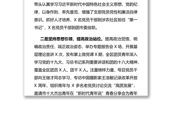 團(tuán)區(qū)委黨支部書(shū)記X年度書(shū)記抓基層黨建工作述職報(bào)告