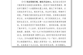 x公司黨組織支部書記抓基層黨建工作述職報告