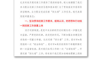 在巡察組巡察“回頭看”工作動員會上的表態發言