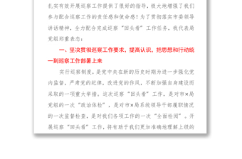 在巡察組巡察“回頭看”工作動(dòng)員會(huì)上的表態(tài)發(fā)言