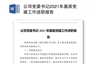 公司党委书记述职报告2022