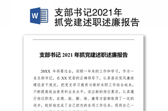 2022年度党支部书记述职述廉会议总结发言稿