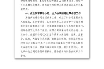 公司國企改革發(fā)展工作報告