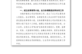 公司國企改革發(fā)展工作報(bào)告