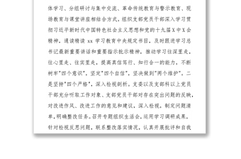 黨風(fēng)政風(fēng)監(jiān)督室黨支部黨建工作總結(jié)