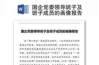 國企黨委領導班子及班子成員的畫像報告