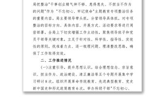 關于“不擔當不作為問題”專項整治工作進展情況報告