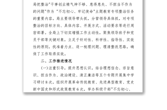 關于“不擔當不作為問題”專項整治工作進展情況報告