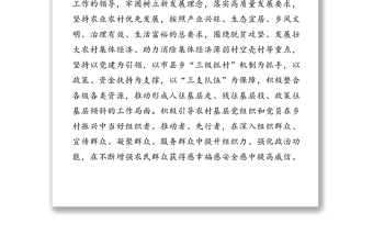 堅(jiān)持黨建引領(lǐng)鄉(xiāng)村振興工作實(shí)施方案