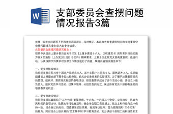 支部委員會查擺問題情況報告3篇