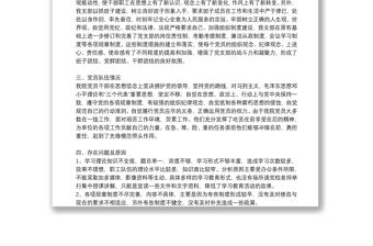 支部委員會查擺問題情況報告3篇