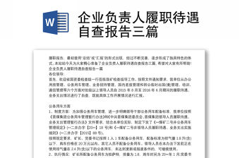 企業負責人履職待遇自查報告三篇