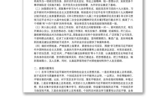 民主生活會和民主評議黨員整改報告