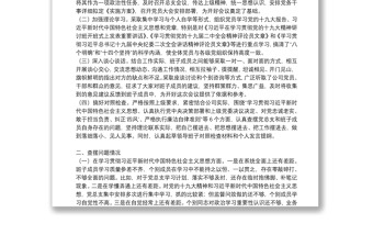 民主生活會和民主評議黨員整改報告