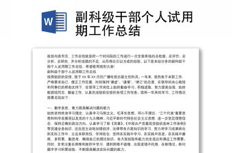 副科級干部個人試用期工作總結
