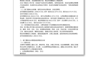 單位整體支出績效監(jiān)控報(bào)告