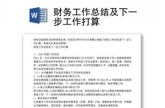 財務(wù)工作總結(jié)及下一步工作打算