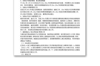 財務(wù)工作總結(jié)及下一步工作打算