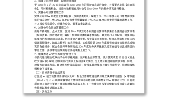 財(cái)務(wù)工作總結(jié)及下一步工作打算