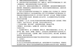 黨支部紀檢委員履職報告