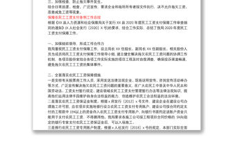 保障農民工工資支付條例工作總結