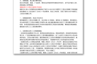 保障農(nóng)民工工資支付條例工作總結(jié)